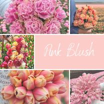 Mix Pink Blush