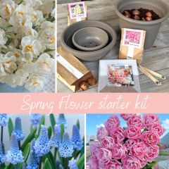 Spring Flower starter kit