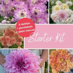 Dahlia picking garden starter kit