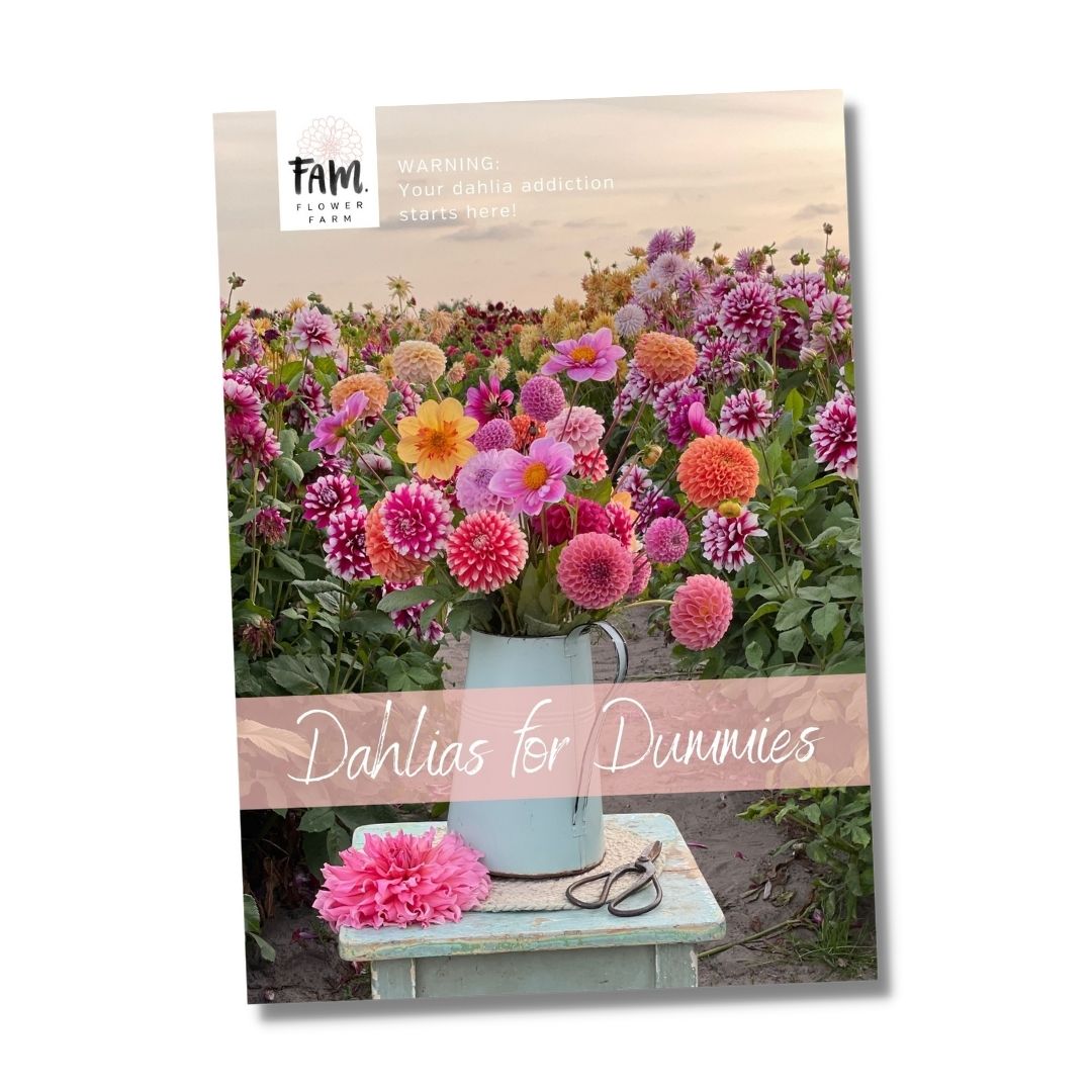 Dahlia Booklet